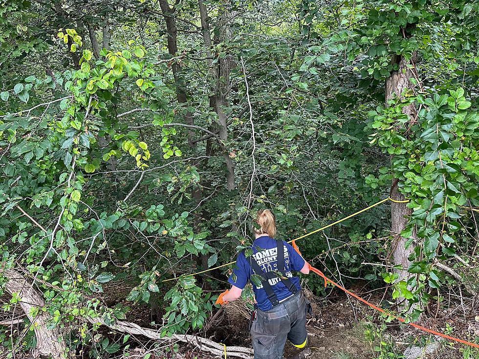 Person Rescued From 20-Foot Embankment In Hudson Valley