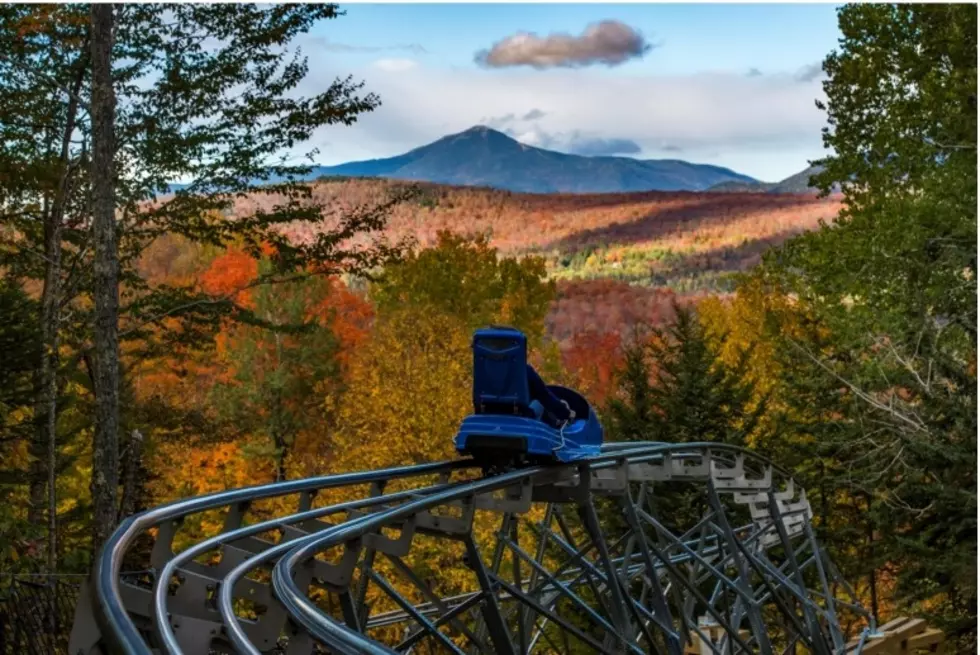North America’s Longest Coaster Is In Upstate New York