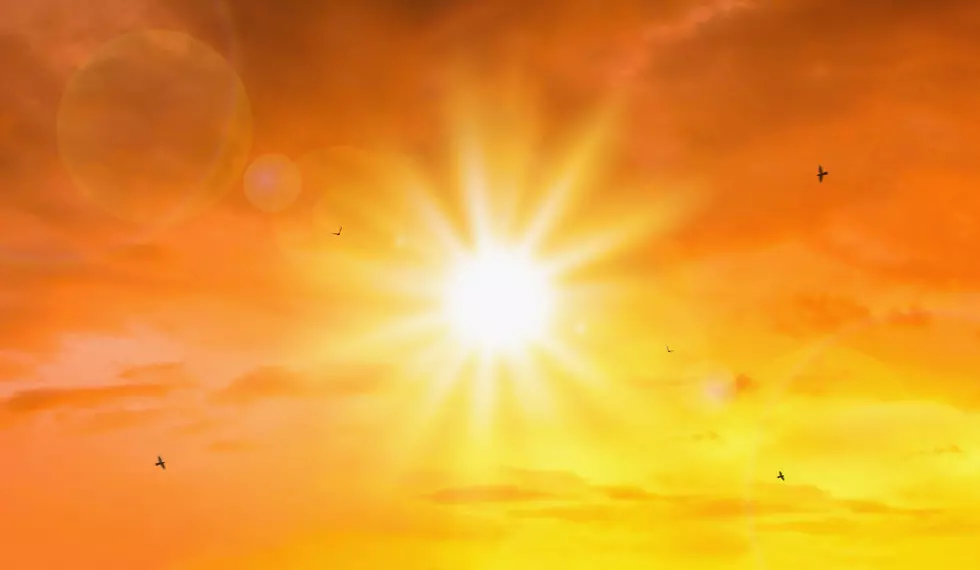 Report Exposes How Dangerous Summer Heat Got In New York State