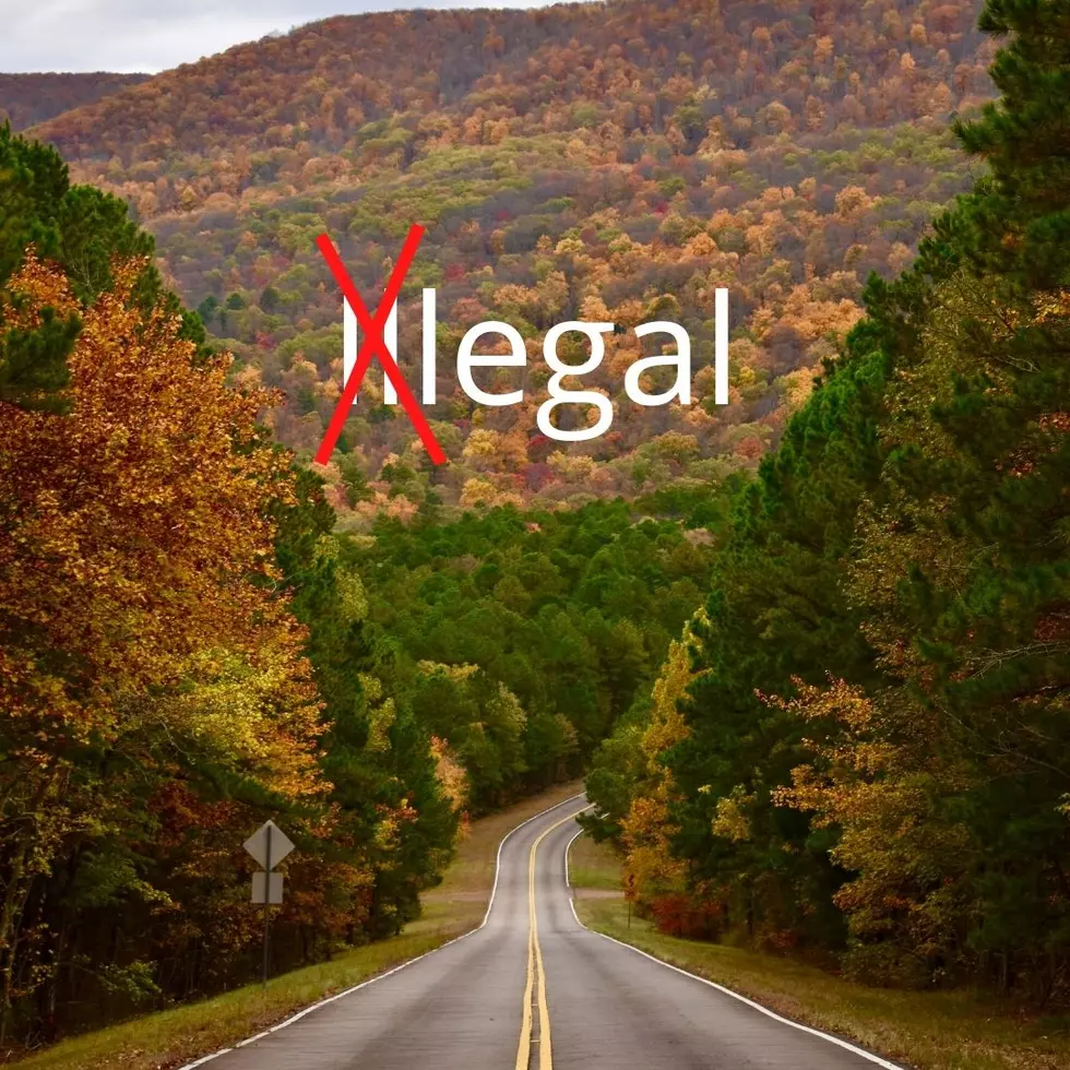 Michigan Road Laws That Are Actually Legal.