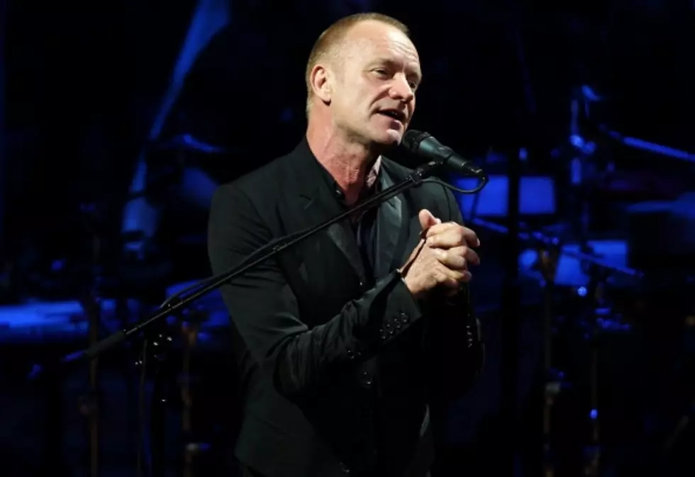 Sting to Appear in New TV Sitcom