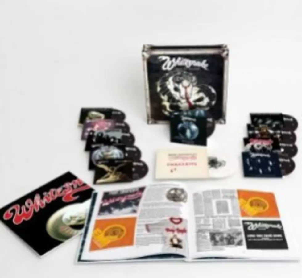 More Whitesnake &#8211; An Entire Box &#8216;O&#8217; Snakes!