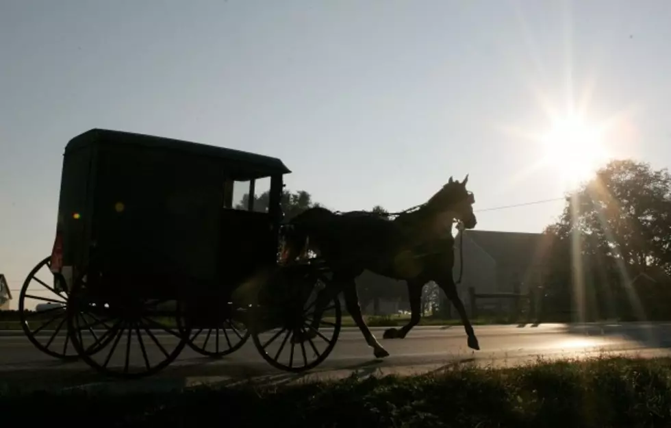 Amish Youth &#8216;Road Drink&#8217; in Horse Drawn Buggies