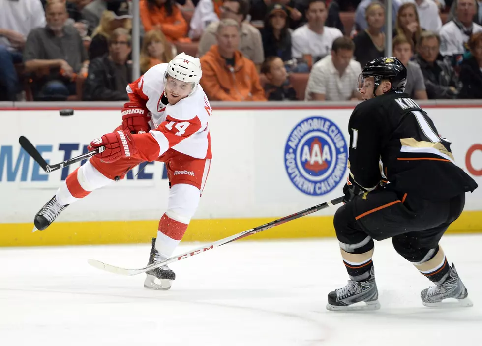 Red Wings Overtime Victory