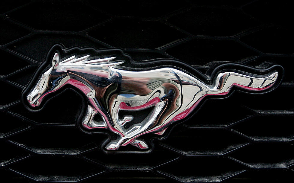 Ford Motor Company Let’s The First Pony Out Of The Barn In 1964