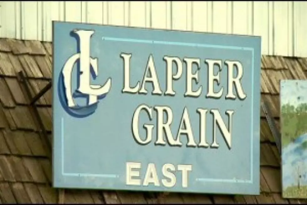 Future of Lapeer Grain Company in Doubt
