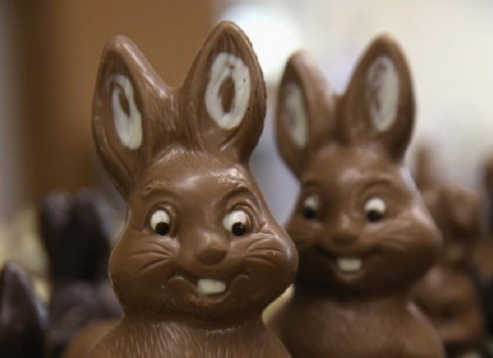 Which Part of A Chocolate Bunny Do You Eat First? [VIDEO]