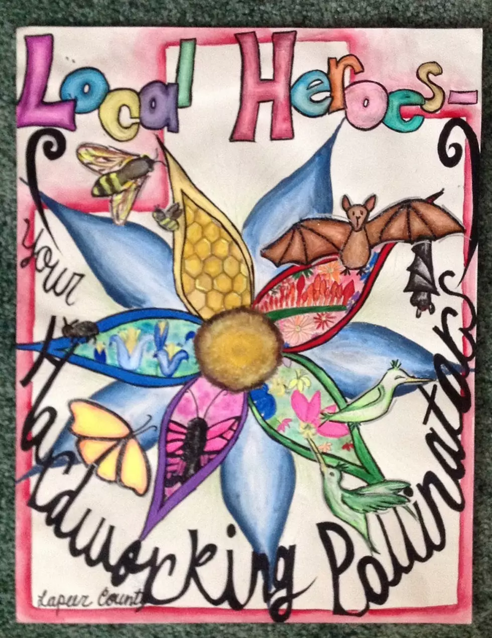 Lapeer County Junior Places Third in National Poster Contest