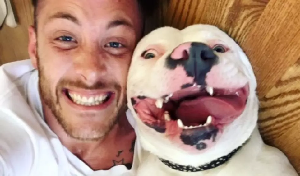 Smiling Detroit Rescue Dog Is An Internet Sensation