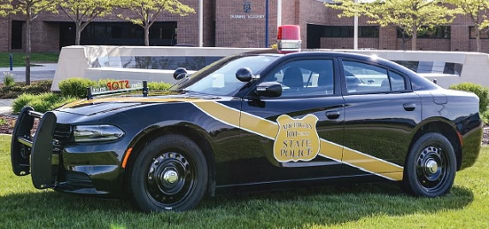 Michigan State Police Black & Gold Goose