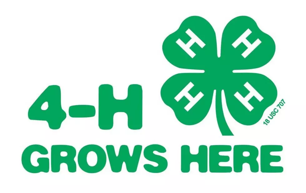 'Bring A Friend' Lapeer County 4-H Day Camp