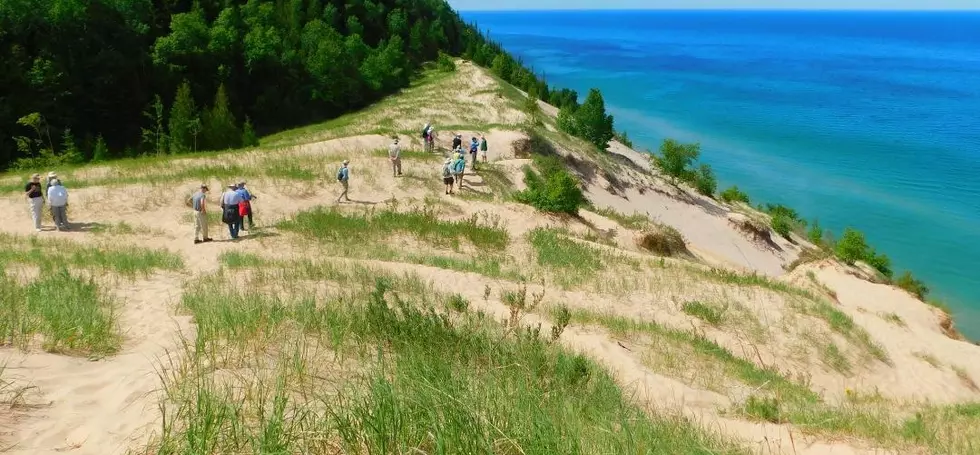 Northern Michigan Land Conservancy Seeks Help [VIDEO]