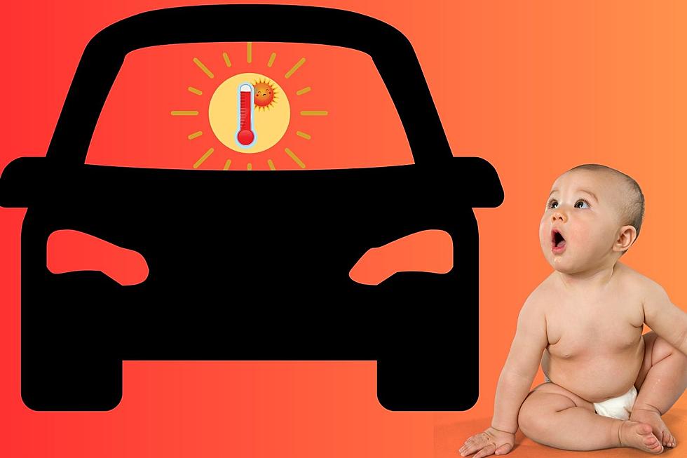 What is Michigan's Law for Leaving Your Child in a Hot Car?