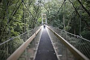 Don&#8217;t Miss Out on Michigan&#8217;s Epic 65-Foot-High Canopy Walk