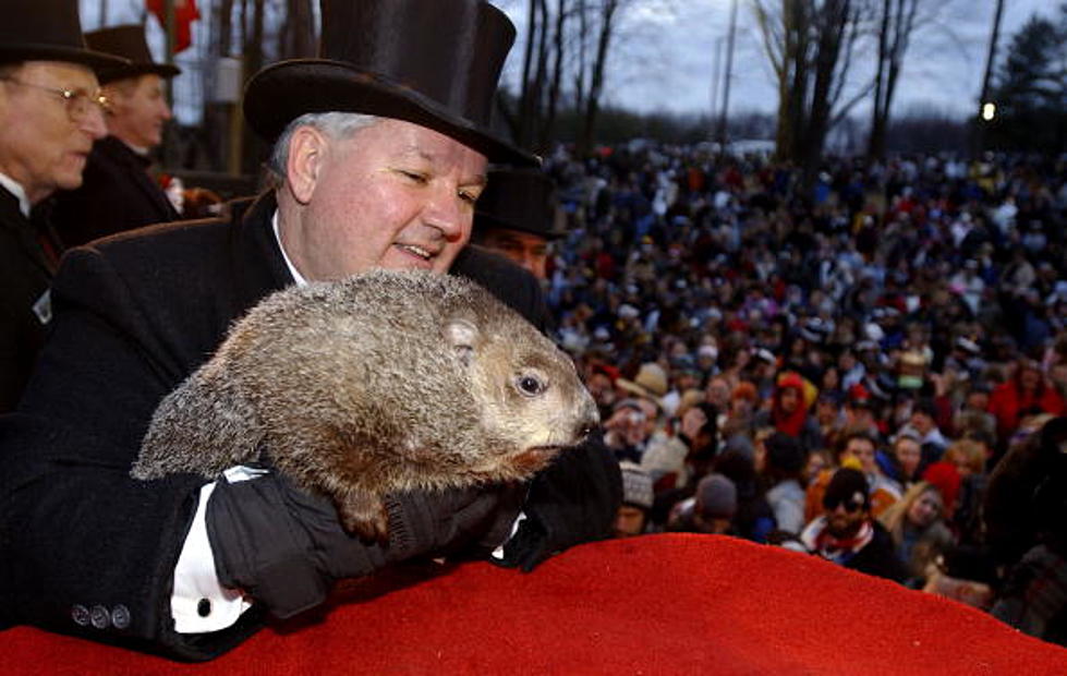 Punxsutawney Phil Has Competition In The Very Large Form of Willard Scott