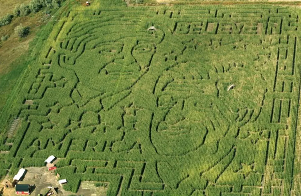 Family Calls 911 After Getting Lost Inside Corn Maze