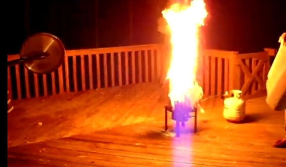 How Not to Cook a Thanksgiving Turkey [VIDEOS]