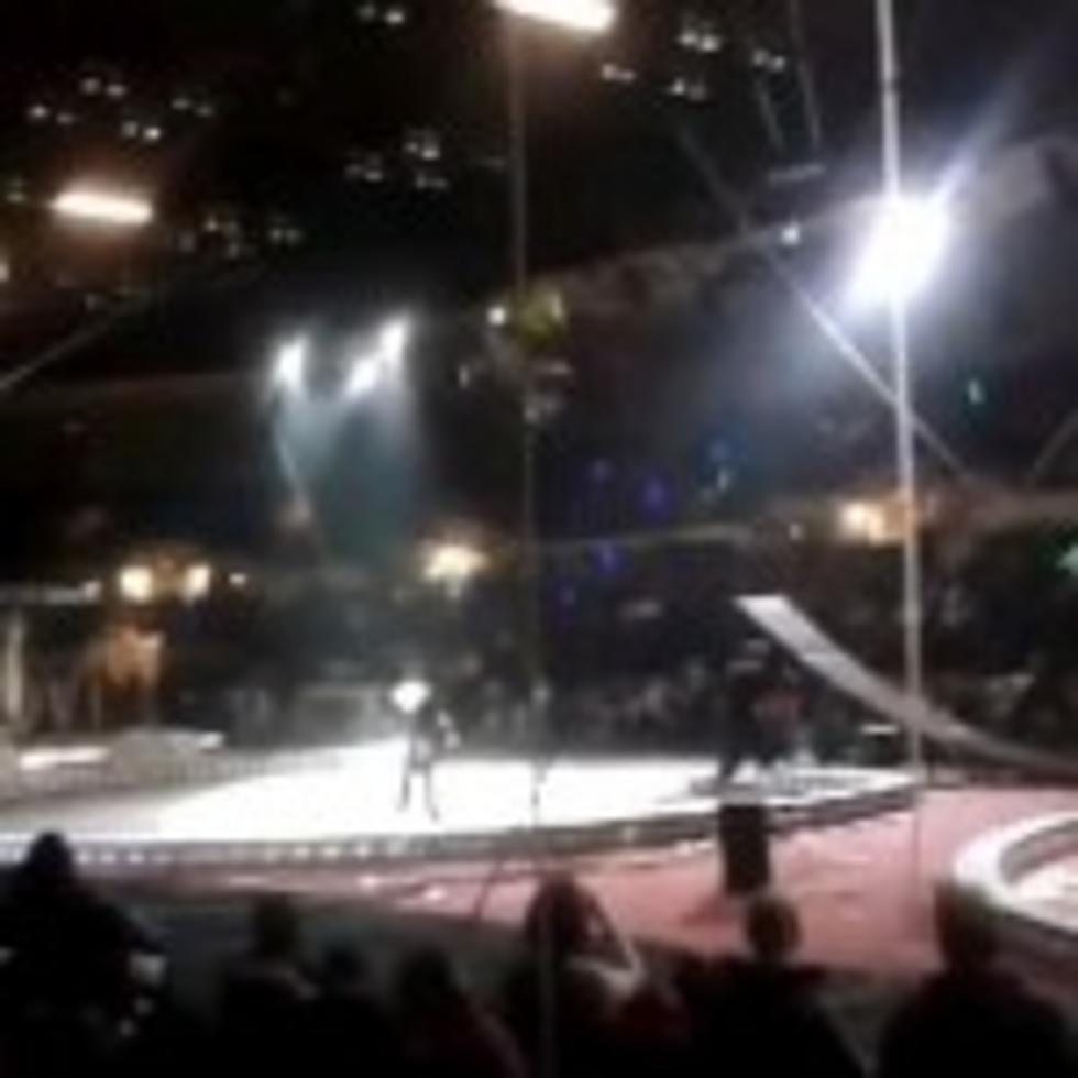 Tragic Accident at Saginaw Circus [NSFW VIDEO]