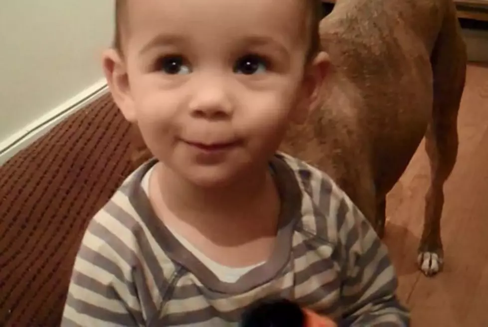 18-Month-Old Girl Has More Music Knowledge Than Most Adults [VIDEO]