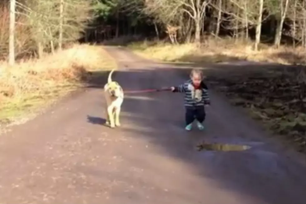 What Could Be Sweeter Than a Boy, His Dog, and a Mud Puddle? [VIDEO]