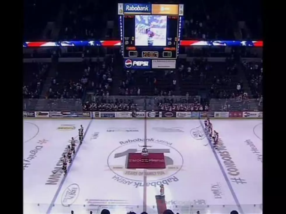 Condor&#8217;s Wrath Steals The Show At Hockey Game [VIDEO]