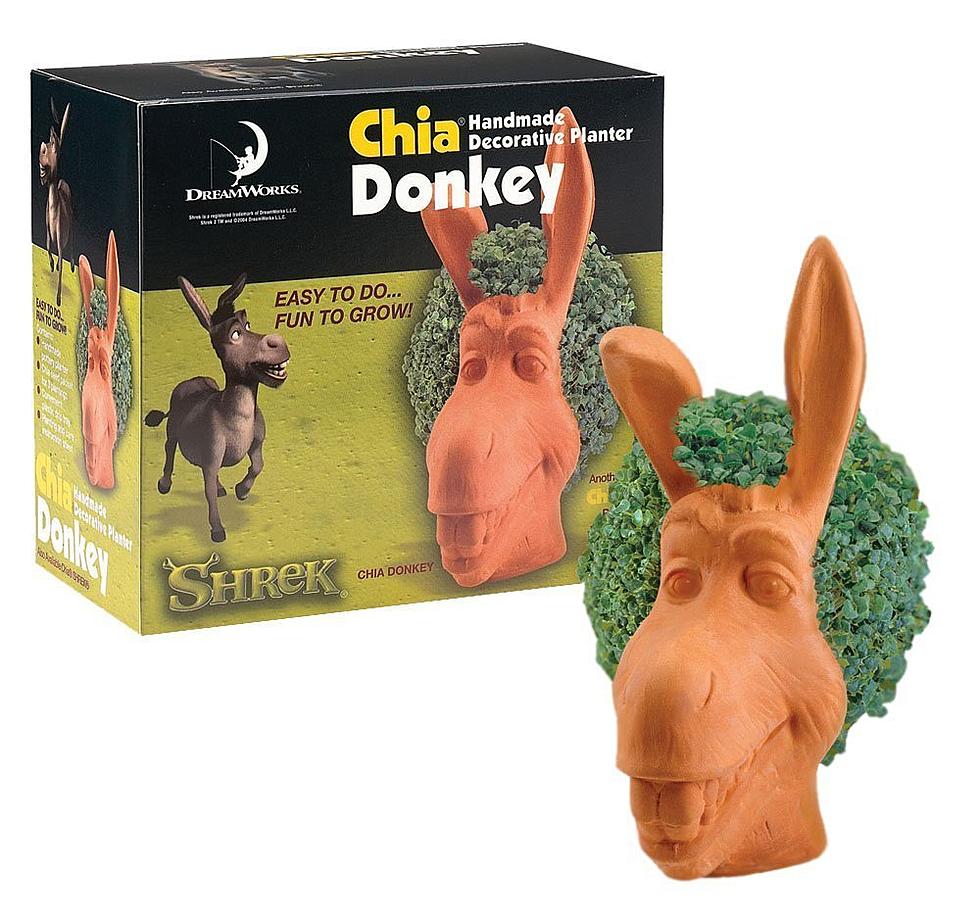 Rod’s Getting A Chia Pet For Christmas – Help Steph Pick Just The Right One!