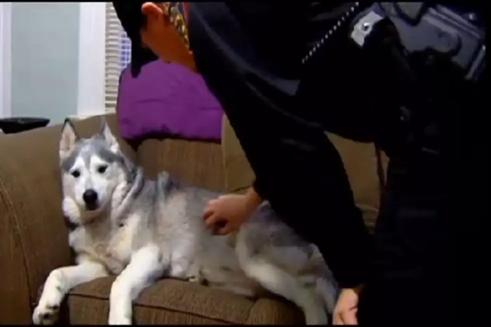 Cato The Husky Caught Shoplifting At Dollar General Store [Video]