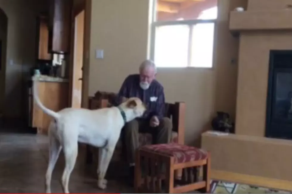 Dad With Alzheimer’s Regains Speech When He’s With Family’s Dog [Video]