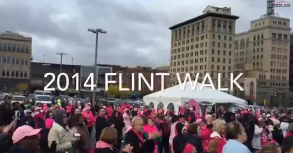 2014 Flint Making Strides Walk [VIDEO]