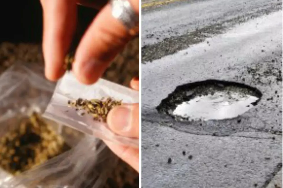 Pot for Potholes: Is Legalizing Marijuana the Answer to Michigan’s Road Woes? [VIDEO]