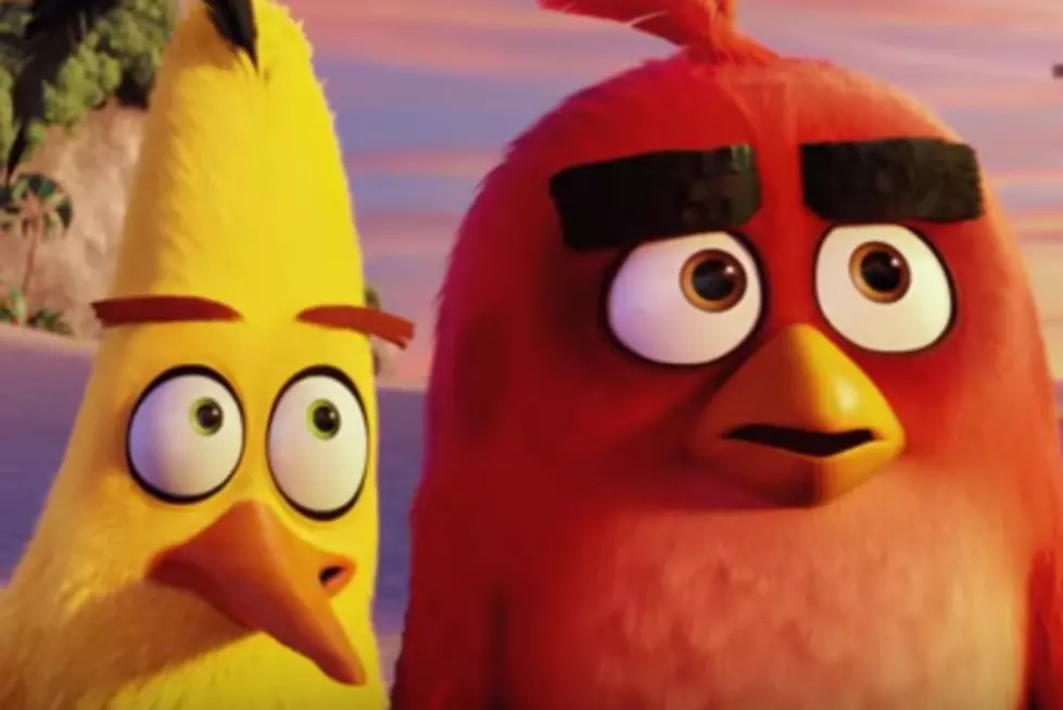 Are You Ready for 'Angry Birds' The Movie? [VIDEO]