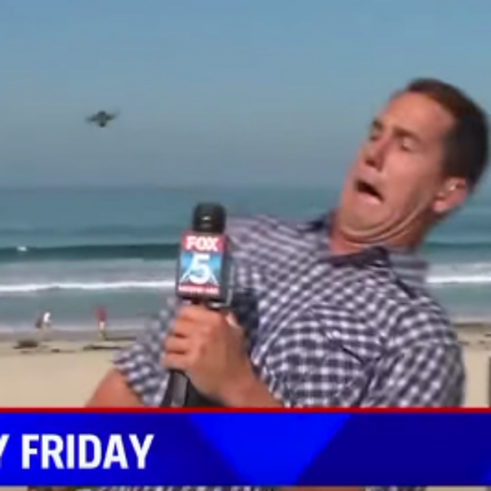Reporter Gets Attacked By Bug, Hilarity Ensues [VIDEO]