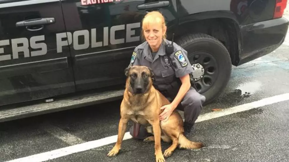 The Good News: K9 Officer Finds Missing Elderly Woman, Saves Her Life [VIDEO]
