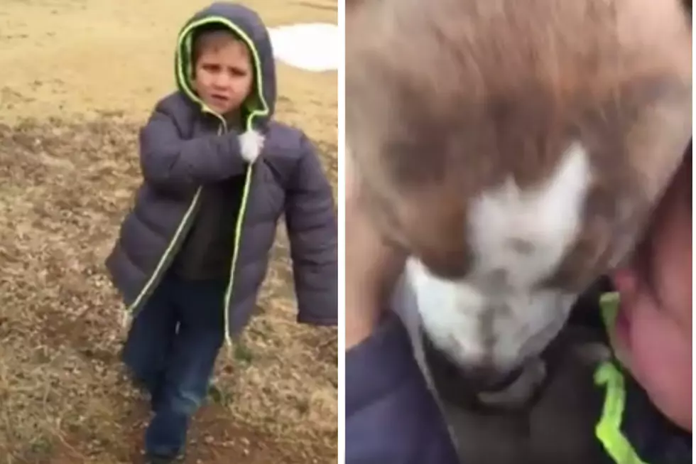 Boy’s Reunion With Lost Dog is the Sweetest Thing You’ll See Today [VIDEO]