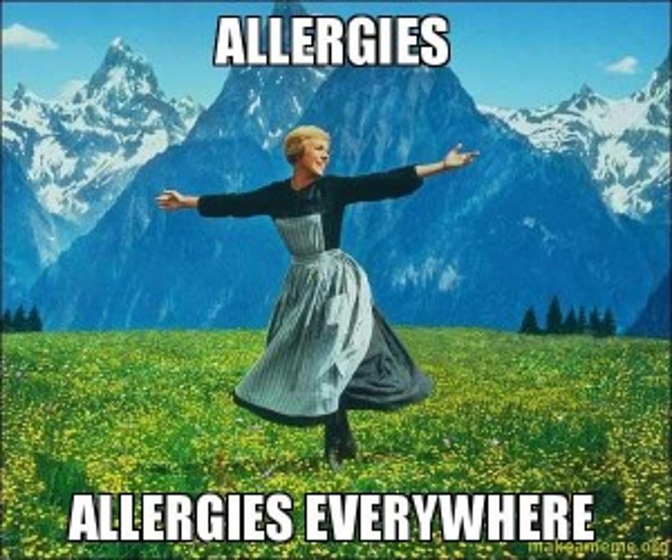 Allergies, You Can Stop Now [OPINION]