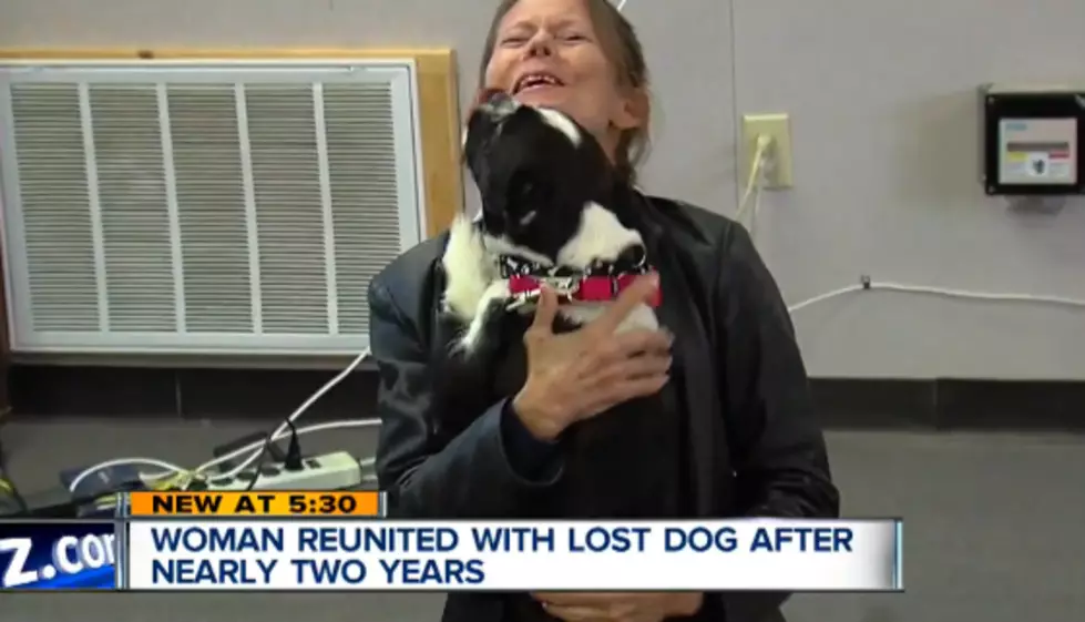 The Good News: Woman Reunited with Dog in Michigan After Two Years [VIDEO]