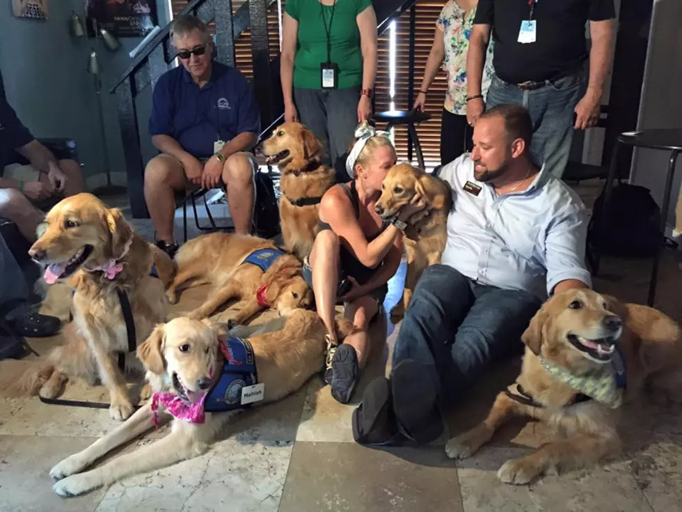 Comfort Dogs Brought to Orlando [VIDEO]