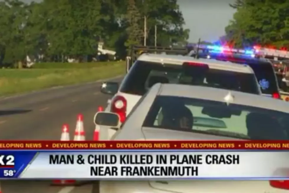 Pilot + Child Dead After Small Plane Crash Near Frankenmuth [VIDEO]