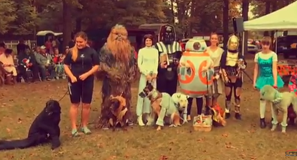 Dogs In Costumes at Tricks for Treats in Flushing [VIDEO]