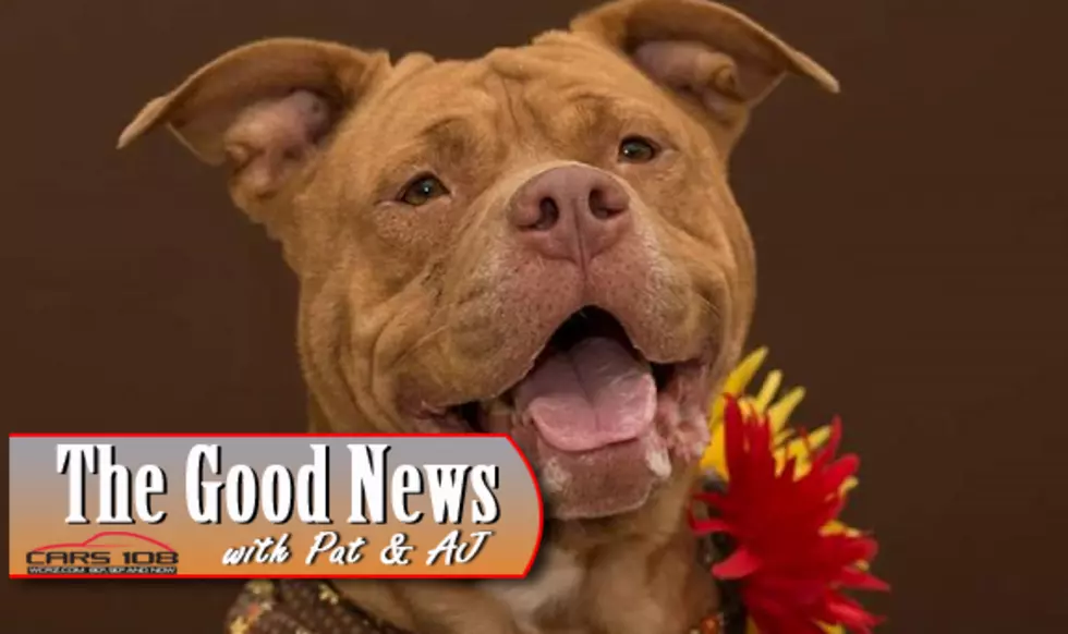 Genesee County Animal Shelter is Michigan’s Most Improved Shelter – The Good News