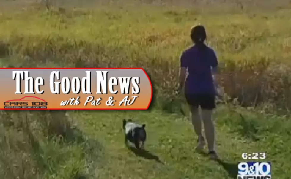 Cross Country Team in UP Runs With Shelter Dogs – The Good News [VIDEO]