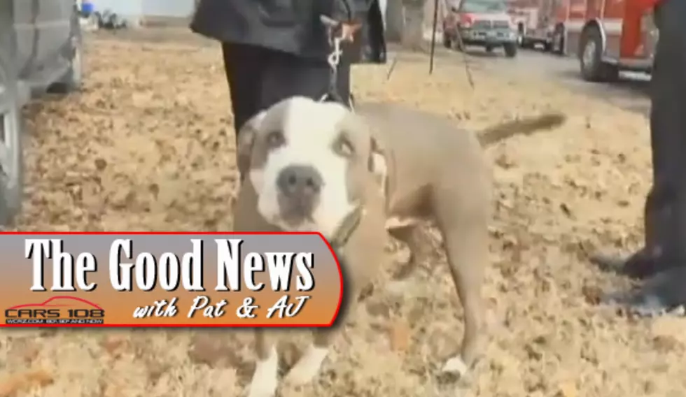 Dog Saves Kansas Family From House Fire – The Good News [VIDEO]