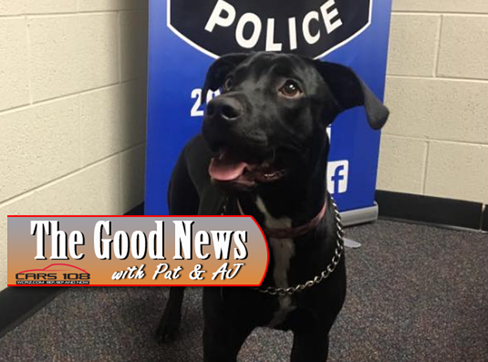 Michigan PD Cares for Dog Found During Meth Bust – The Good News [PHOTOS]