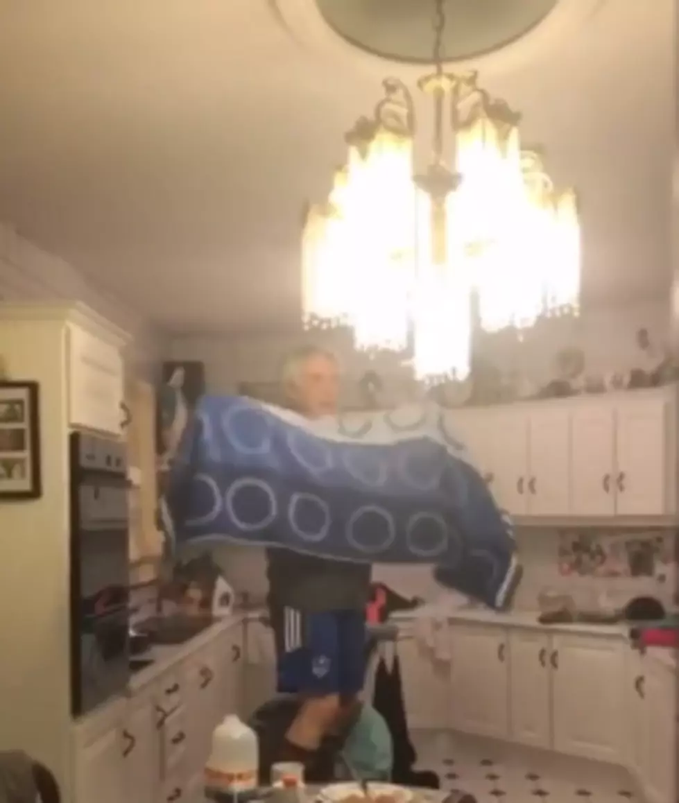 Bat Gets in the House and We Can’t Stop Laughing [VIDEO]