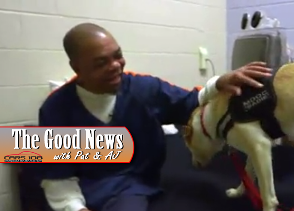 Therapy Dogs Are Helping Inmates in Lapeer – The Good News [VIDEO]