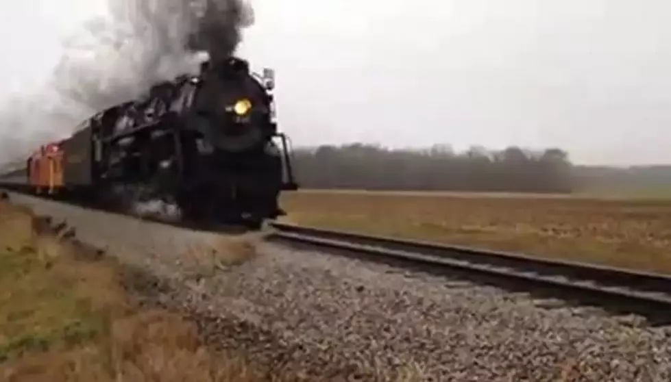 WATCH: Train Barely Misses Deer in Shiawassee County