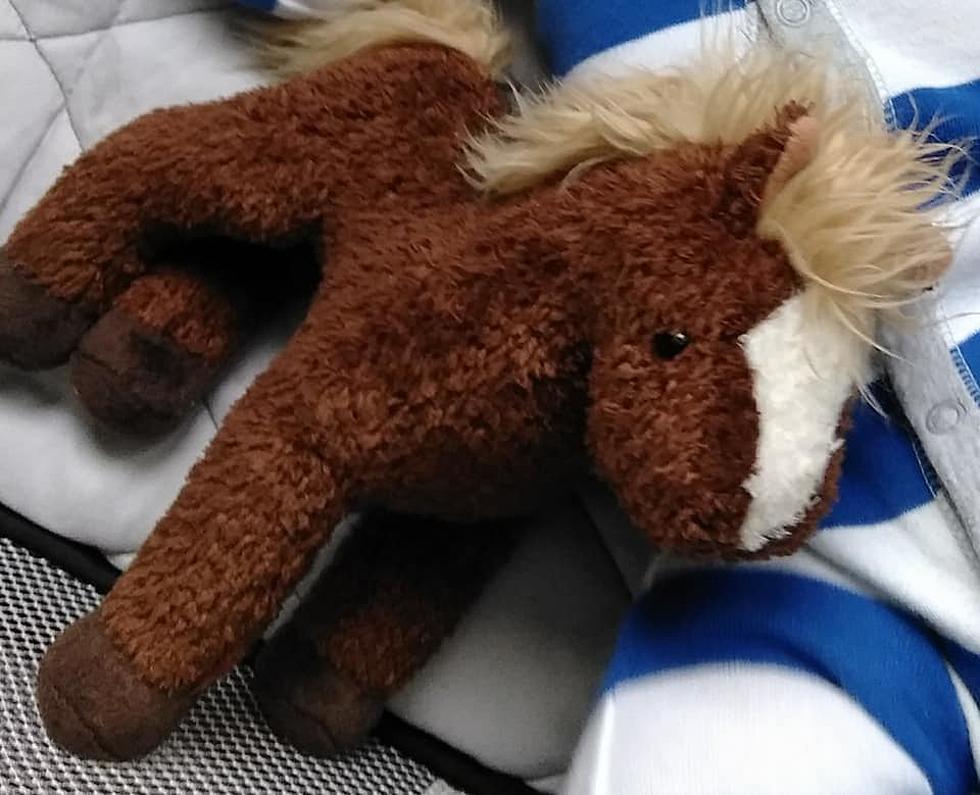 Michigan Mom Posts for Help: FIND BOB! Stuffed Animal Lost at Genesys