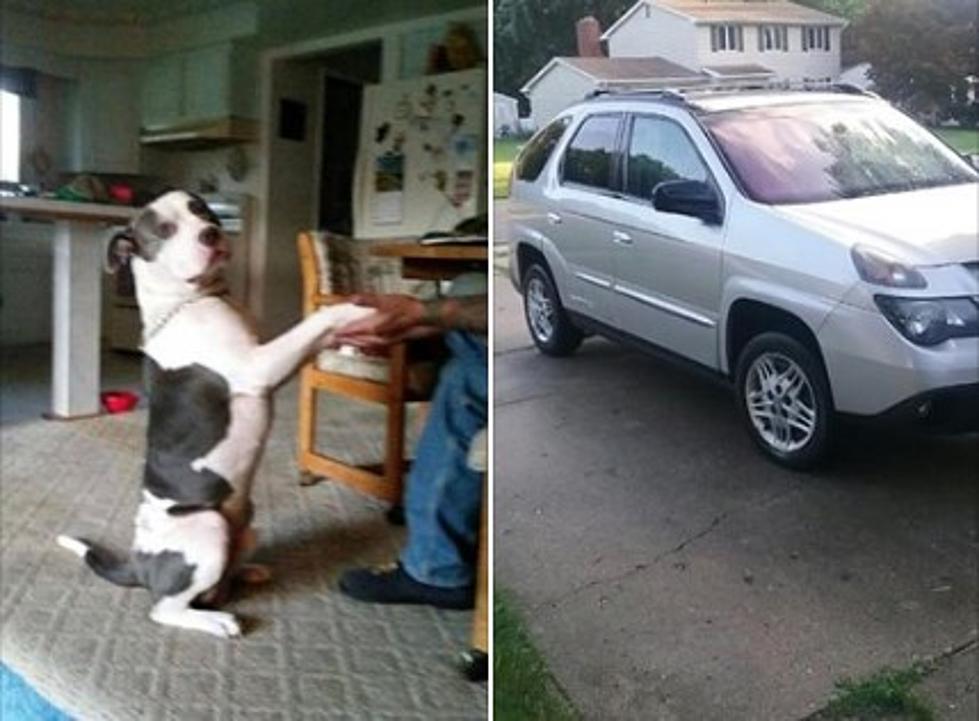 $400 Reward Offered for Stolen Dog, Car in Genesee County [PHOTOS]