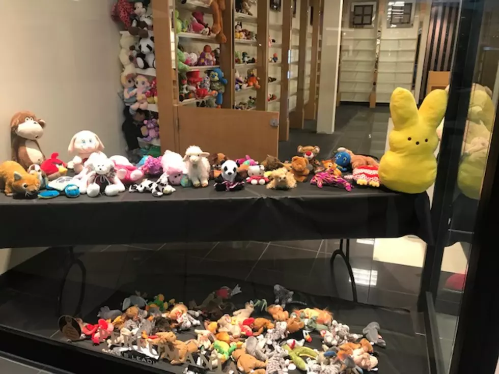 You Still Have Time to Drop Off Cars Critters Donations