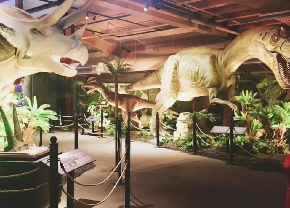 LOCAL SPOTLIGHT: Dinosaurs Unearthed at Courtland Center [VIDEO]